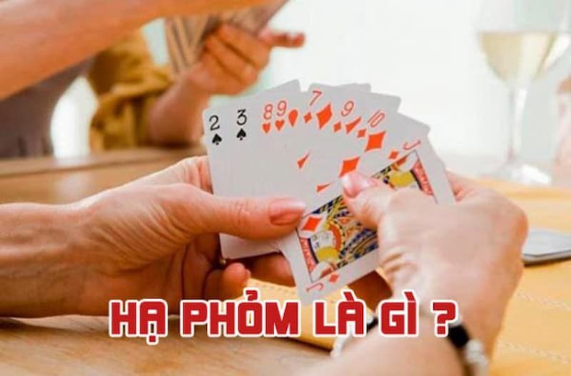 Hạ phỏm là gì? Học cách chơi bài Phỏm chuẩn xác nhất