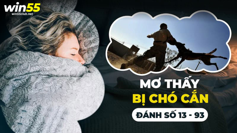 Nằm mơ thấy chó cắn đánh số mấy? Điềm may hay xui rủi